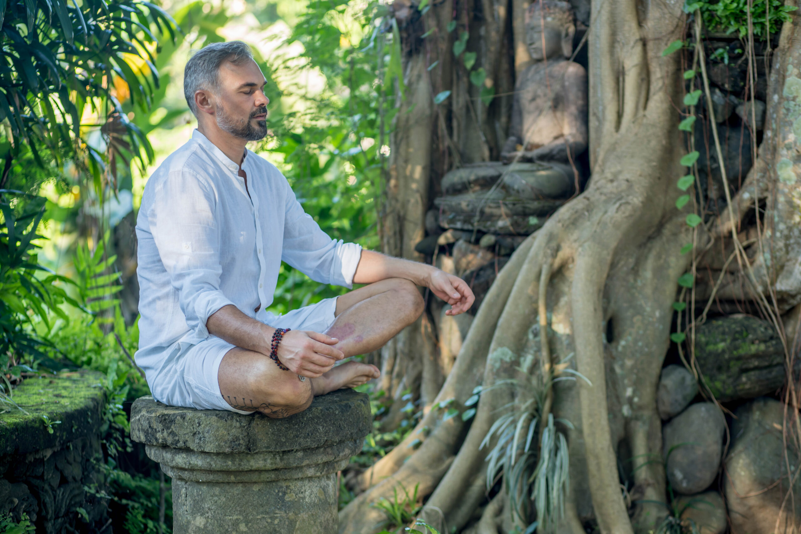 Zdjęcie główne artykułu Silent Wisdom: Diving into the Depths of True Meditation